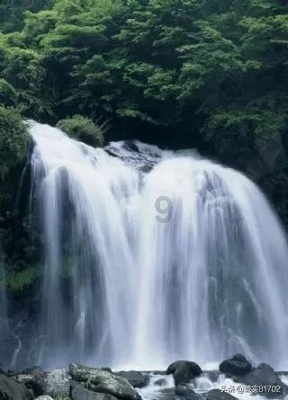 狗狗得了白内障怎么治疗？游戏画面